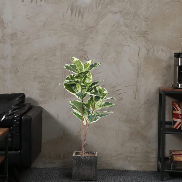 Artificial Rubber Tree
