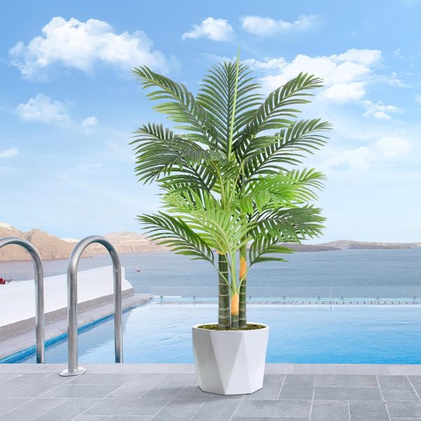 Three Stem Golden Areca Palm Tree